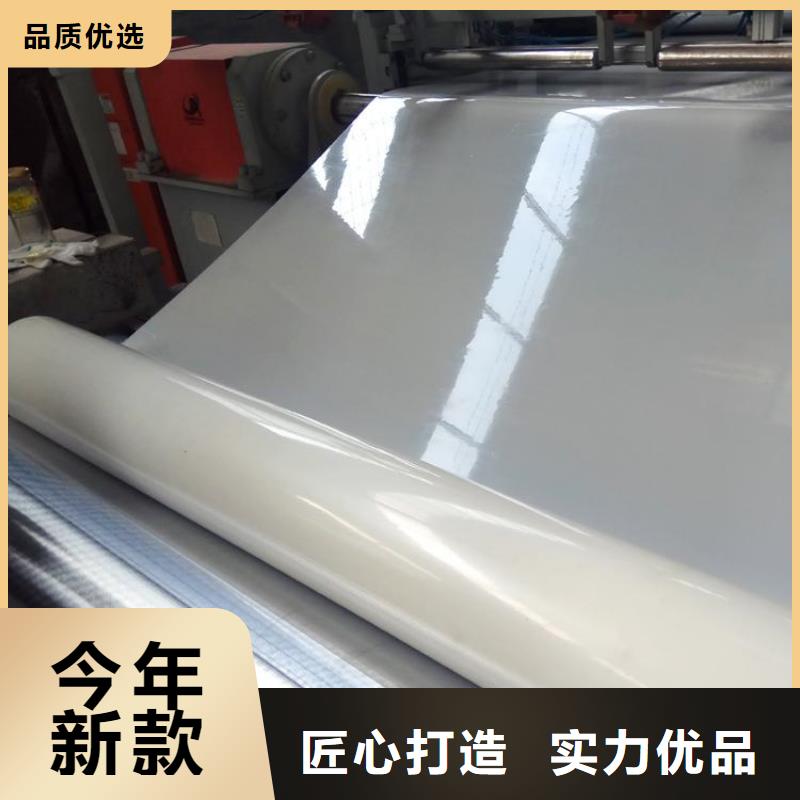防水板-【鋼塑土工格柵】量少也做