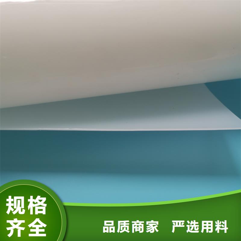 防水板-【鋼塑土工格柵】量少也做
