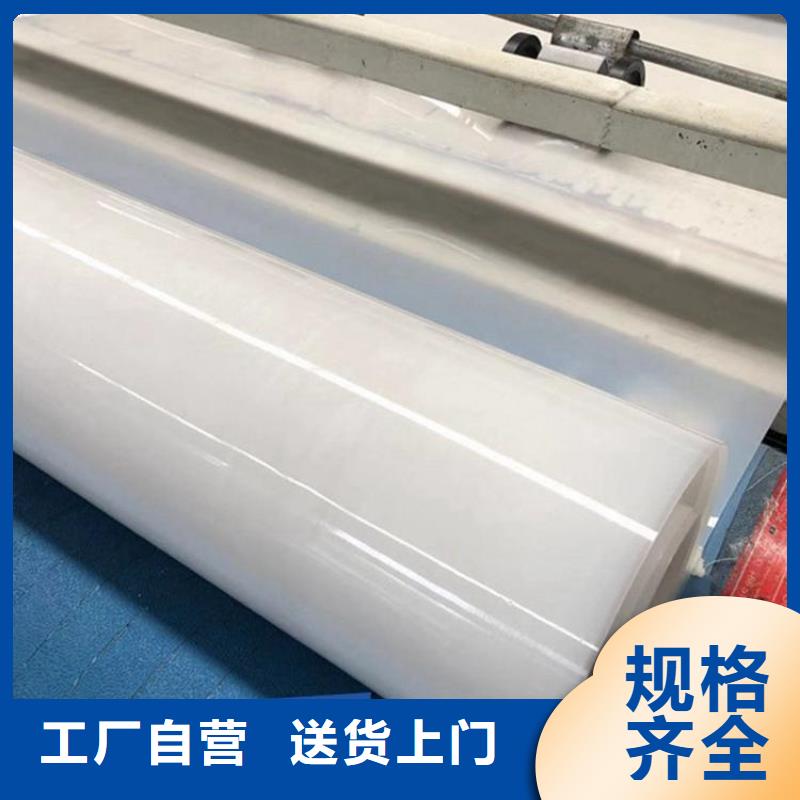 防水板土工膜廠(chǎng)家技術(shù)完善