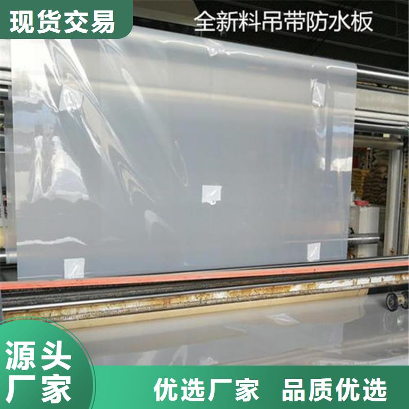 防水板-【鋼塑土工格柵】量少也做