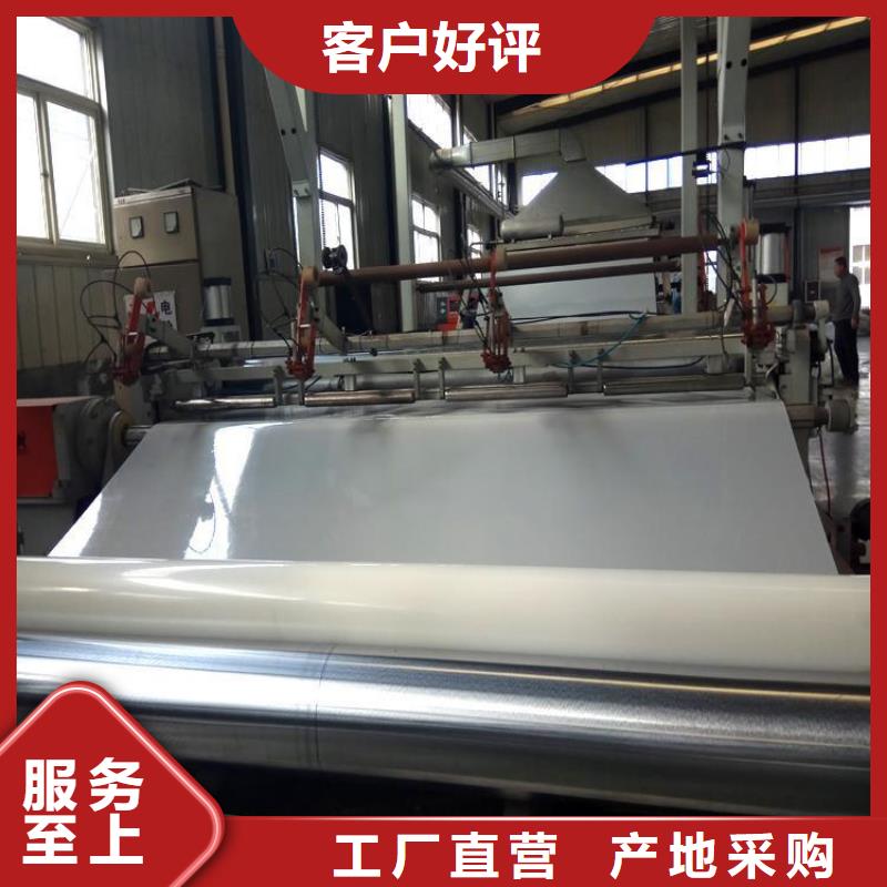 防水板雙向塑料土工格柵精工細(xì)致打造