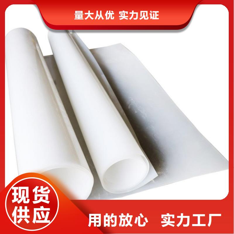 防水板土工网源头厂家量大价优