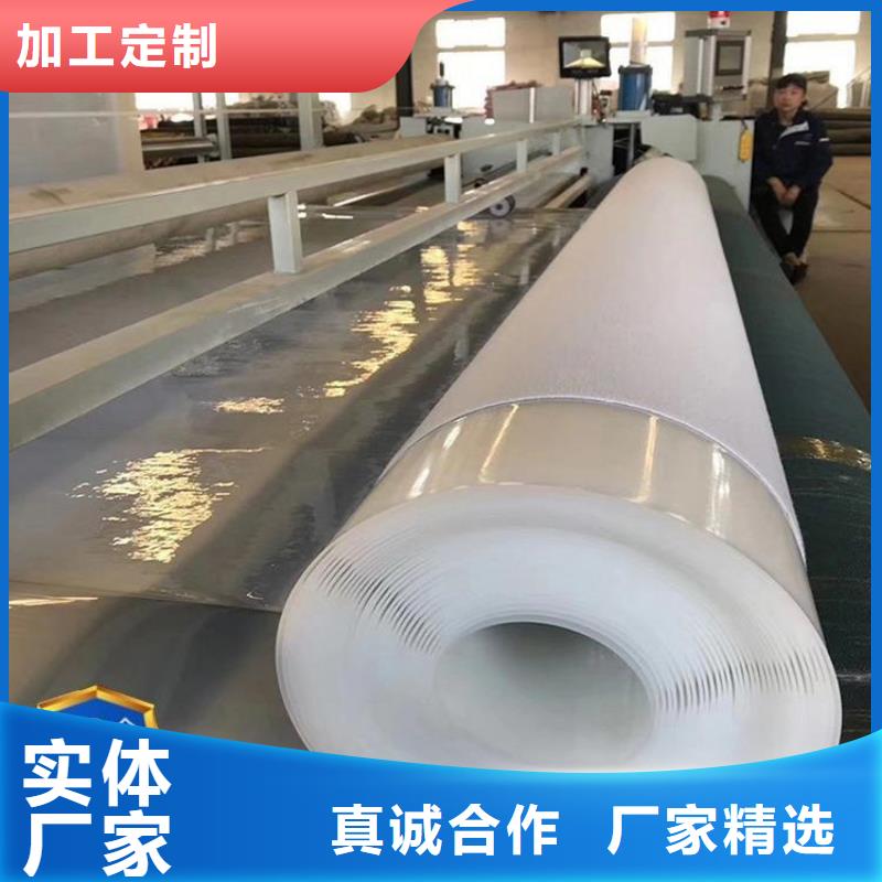防水板土工膜廠(chǎng)家技術(shù)完善
