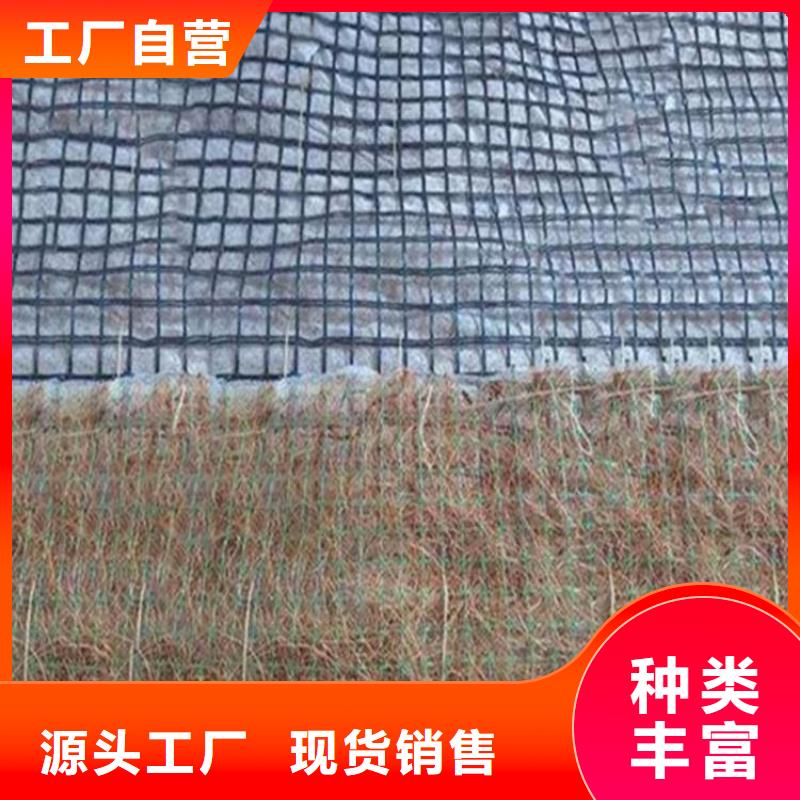 土工格栅视频-土工格栅|德州市|武城|齐河|枣庄|聊城|菏泽|济宁|潍坊|济南