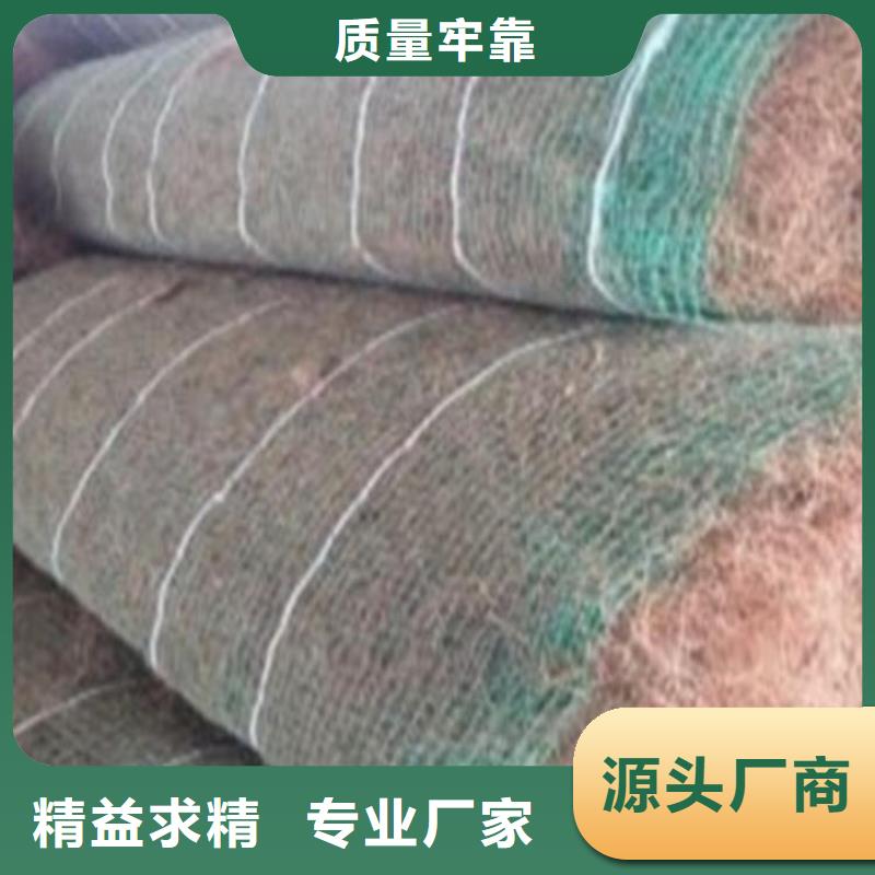 土工格栅视频-四川省自贡市中齐土工格栅可服务区域贡井|自流井|成都|南充|阿坝|眉山|广元等