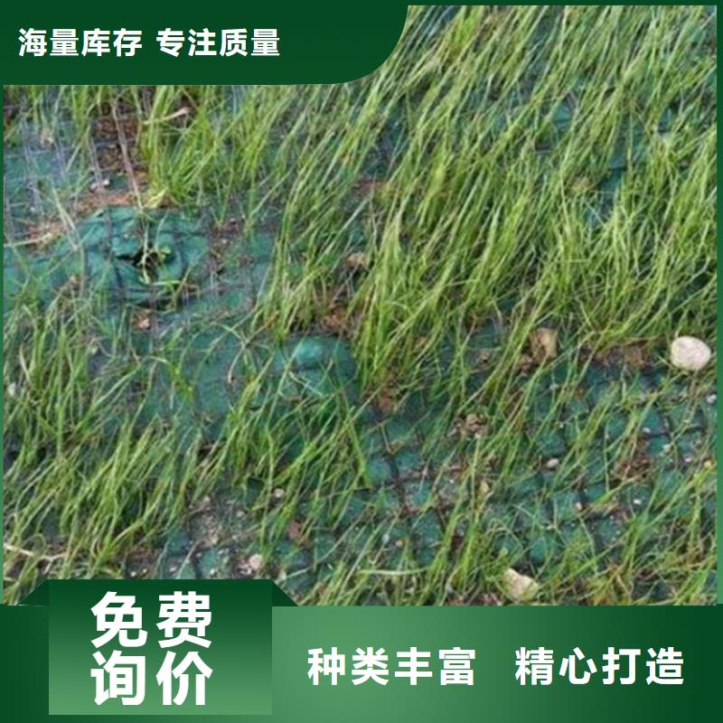 【椰絲毯】土工布品牌專營