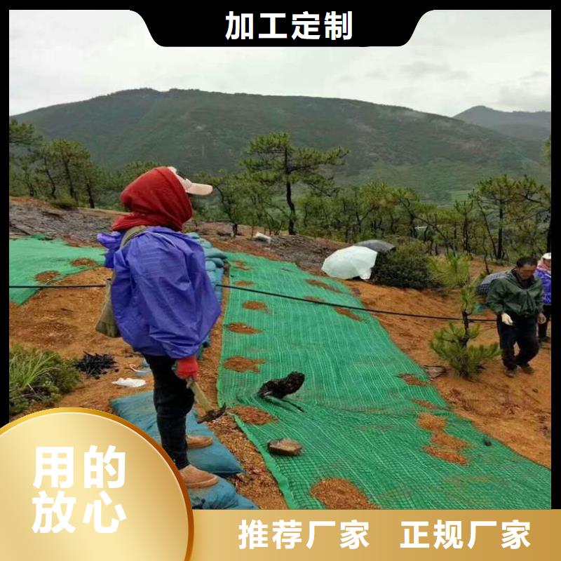 生態植物防護毯椰纖維毯