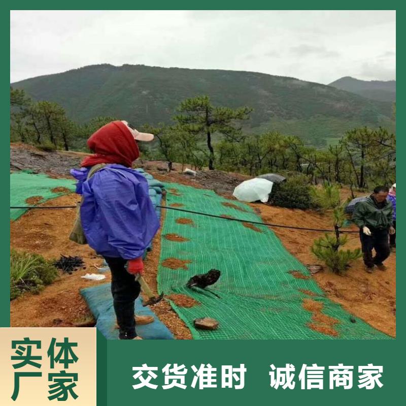 土工格栅视频-土工格栅|德州市|武城|齐河|枣庄|聊城|菏泽|济宁|潍坊|济南