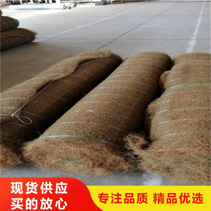 生態植物防護毯護坡植被植草毯