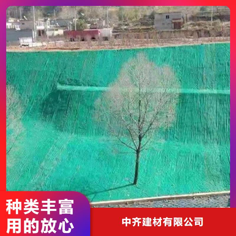 江城|阳春|河源|惠州|湛江|肇庆|韶关中齐【椰丝毯】 土工布精挑细选好货