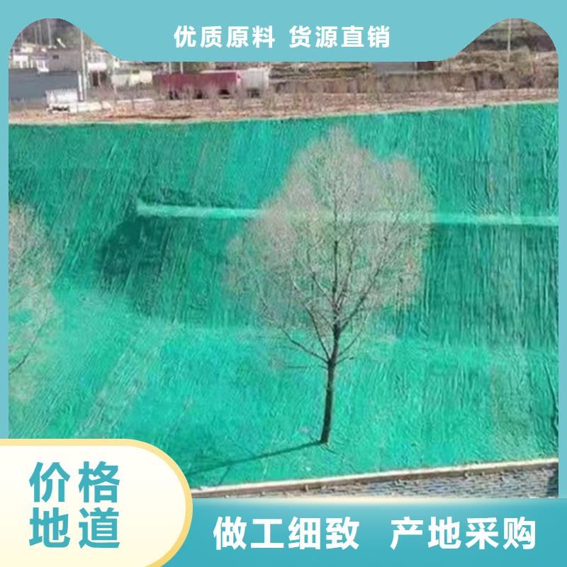 土工格栅视频-四川省自贡市中齐土工格栅可服务区域贡井|荣县|甘孜|阿坝|乐山|攀枝花|成都等