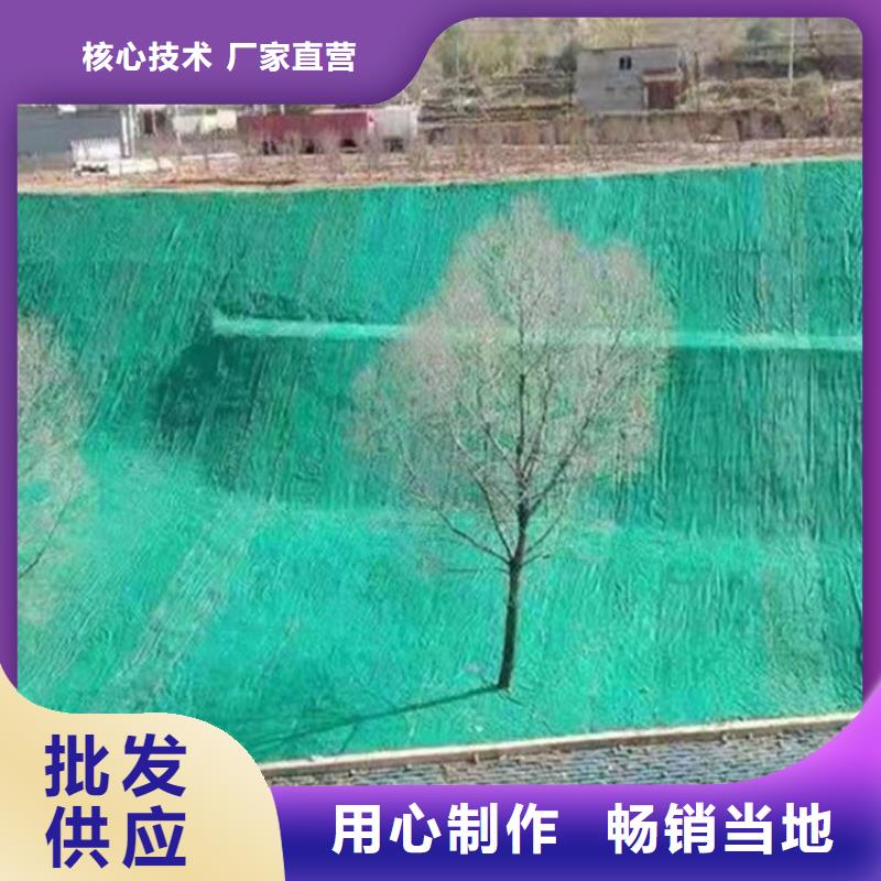 水保加筋植生毯