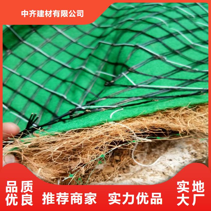 水保抗沖生物毯護(hù)坡椰絲植草毯