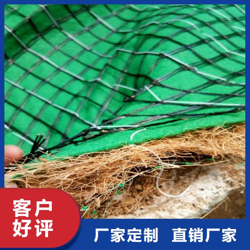 生態植物防護毯護坡植被植草毯