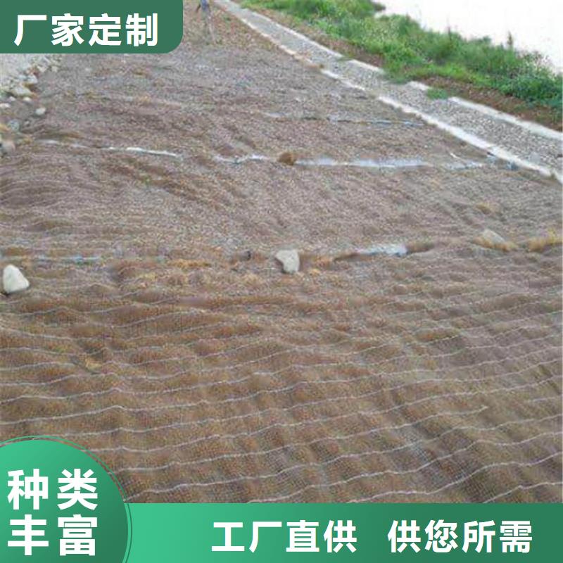 護坡植被植草毯現貨當日發