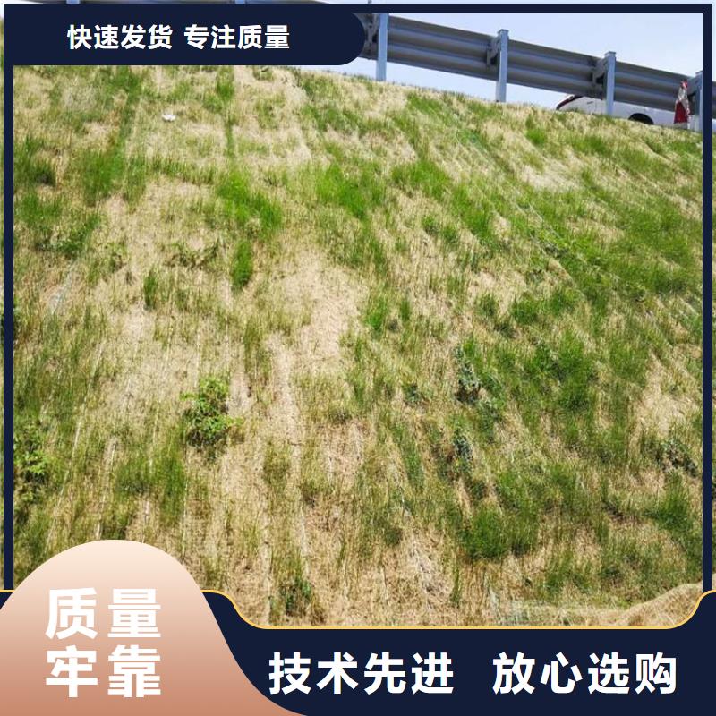 加筋抗沖生態(tài)毯椰絲護坡毯