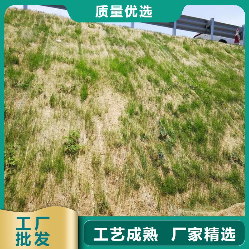 【椰絲毯】土工布品牌專營