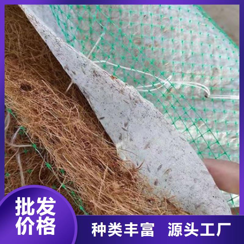 椰絲植生毯抗沖椰絲毯