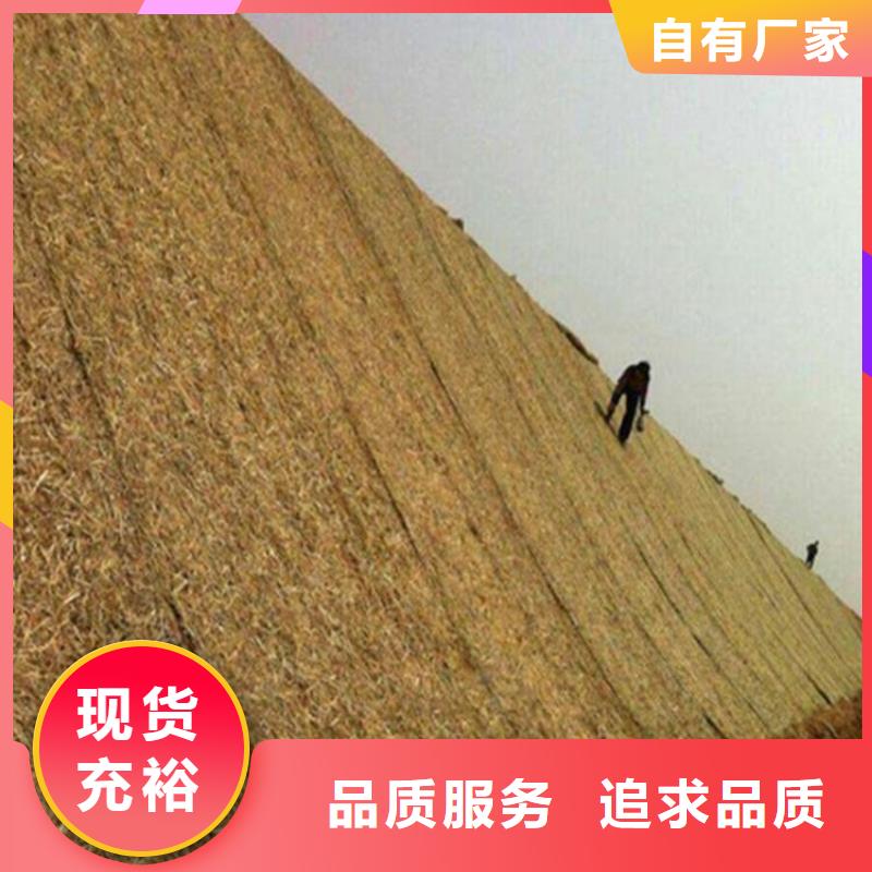 椰絲毯-土工膜工廠直供