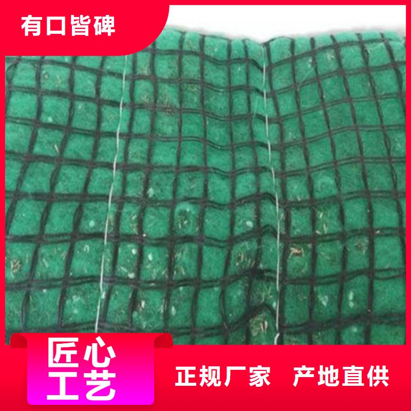 土工格栅视频-土工格栅_山东省德州市市场覆盖禹城|庆云|泰安|济南|滨州|聊城|潍坊等