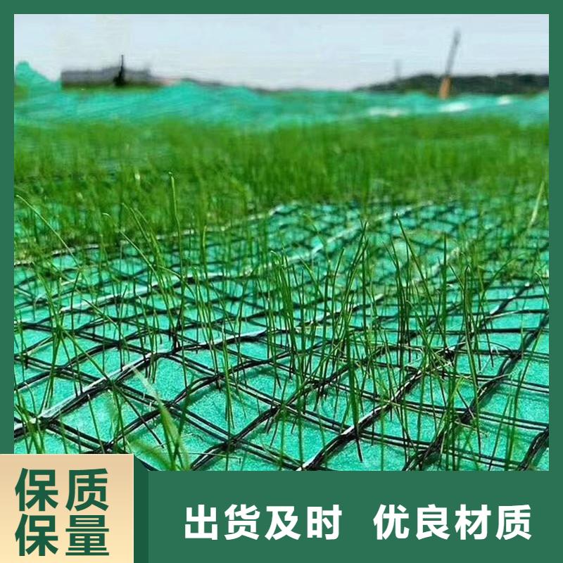 水保加筋植生毯