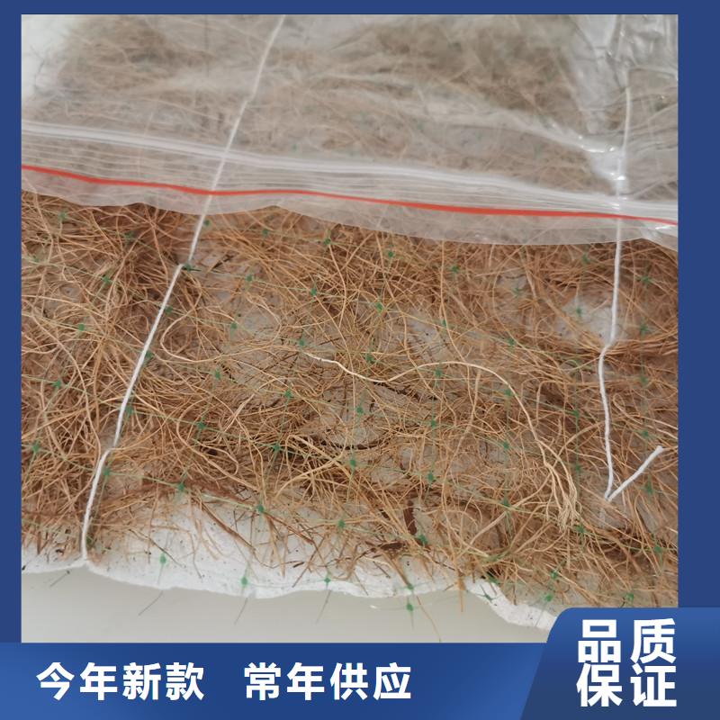 萬寧市椰絲纖維毯水保抗沖生物毯
