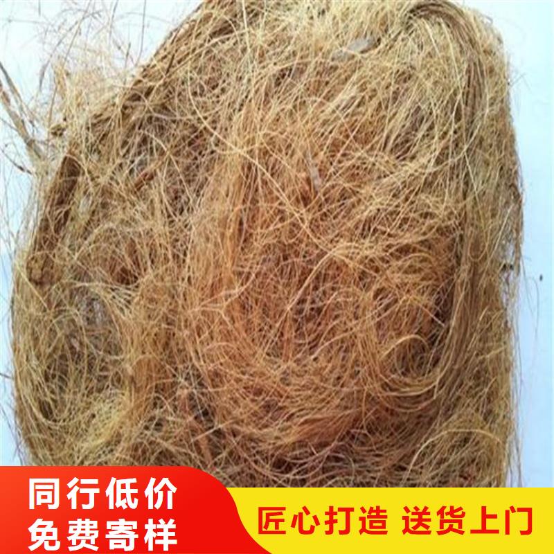 加筋抗沖生態毯水保加筋植生毯