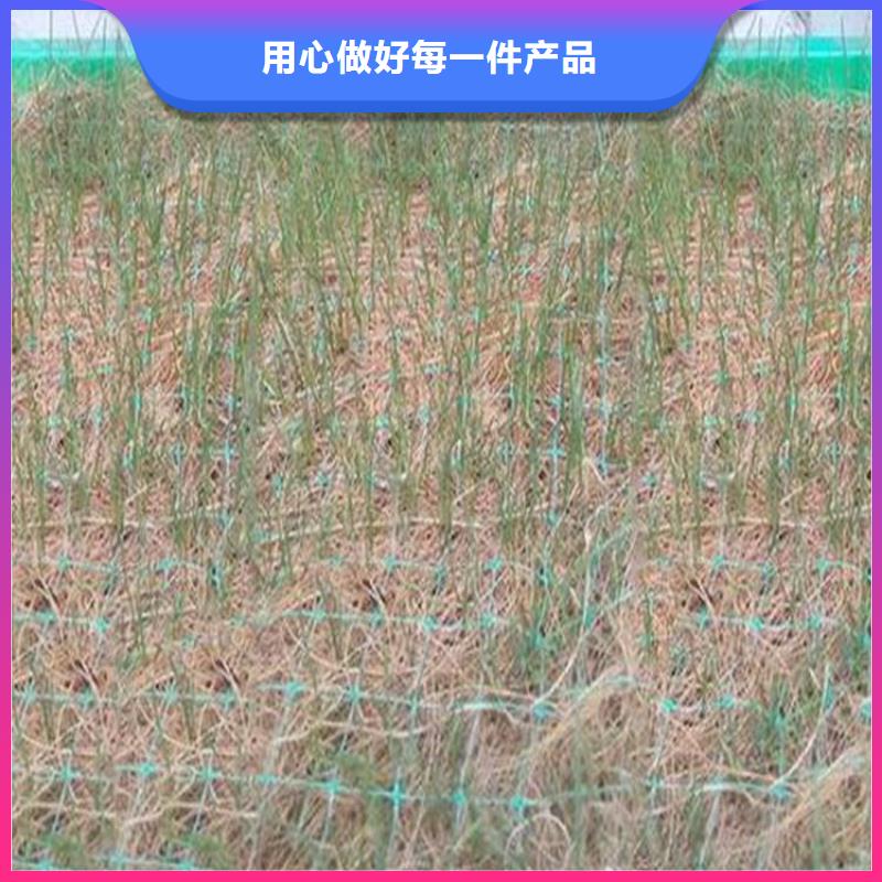 麻椰固土毯植物纖維毯