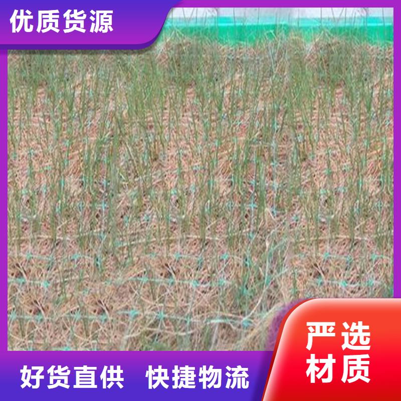 椰絲毯_土工網墊品質保證實力見證