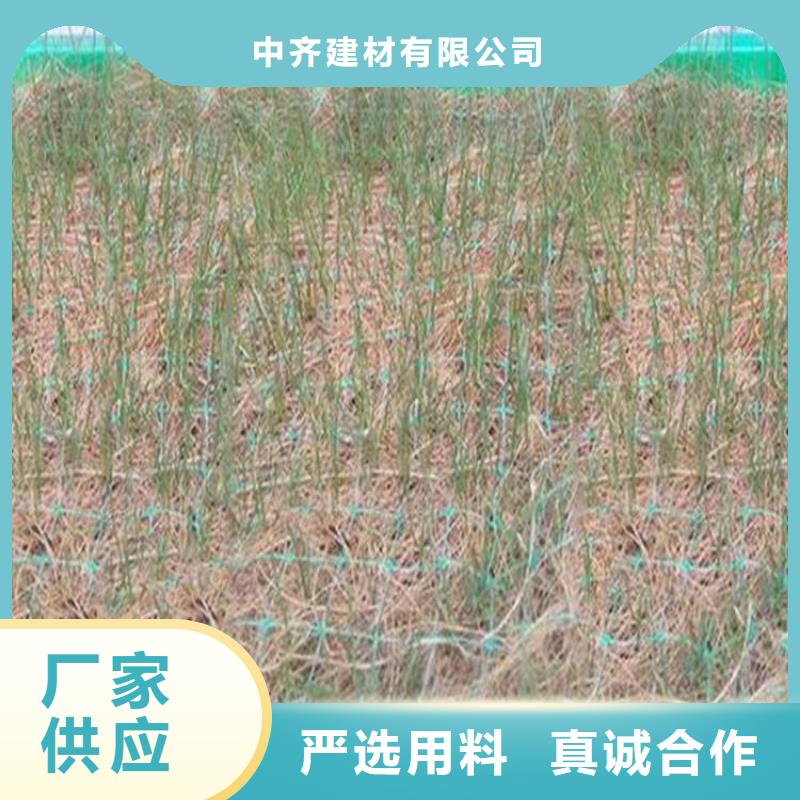 土工格栅视频-土工格栅_山东省德州市市场覆盖禹城|庆云|泰安|济南|滨州|聊城|潍坊等