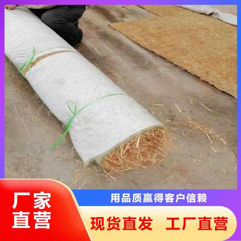 土工格栅视频-四川省自贡市中齐土工格栅可服务区域贡井|荣县|甘孜|阿坝|乐山|攀枝花|成都等