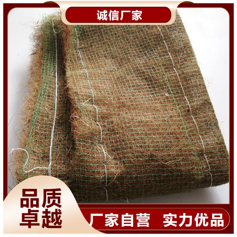 護坡生態(tài)草毯加筋抗沖生態(tài)毯