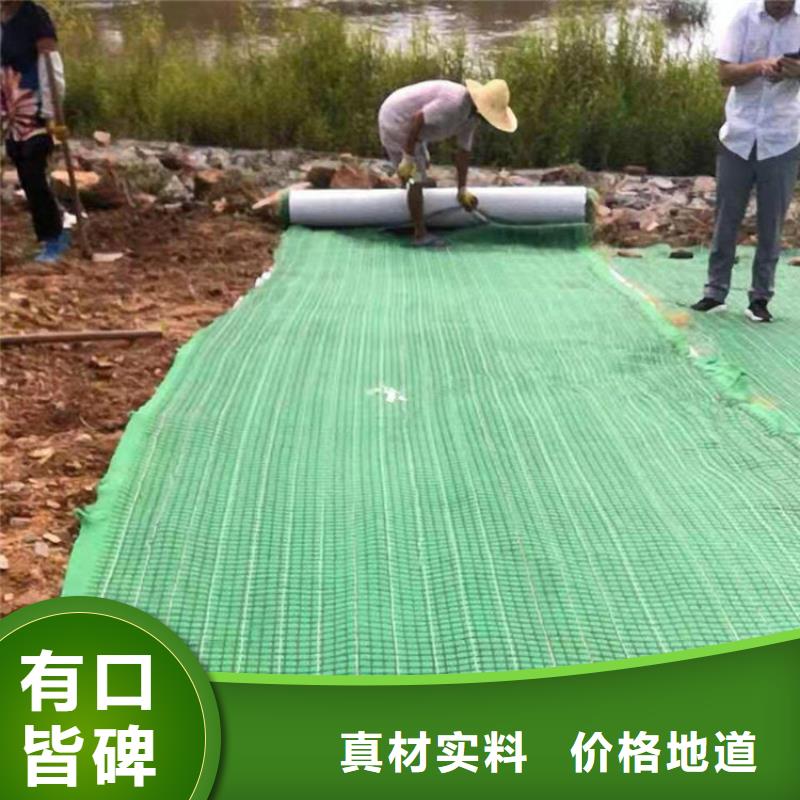 萬寧市椰絲纖維毯水保抗沖生物毯