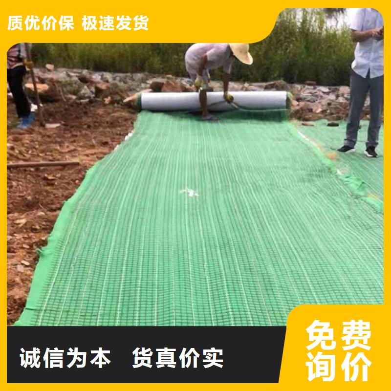 土工格栅视频-土工格栅_山东省德州市市场覆盖禹城|庆云|泰安|济南|滨州|聊城|潍坊等