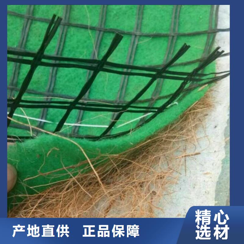 椰纖植草毯