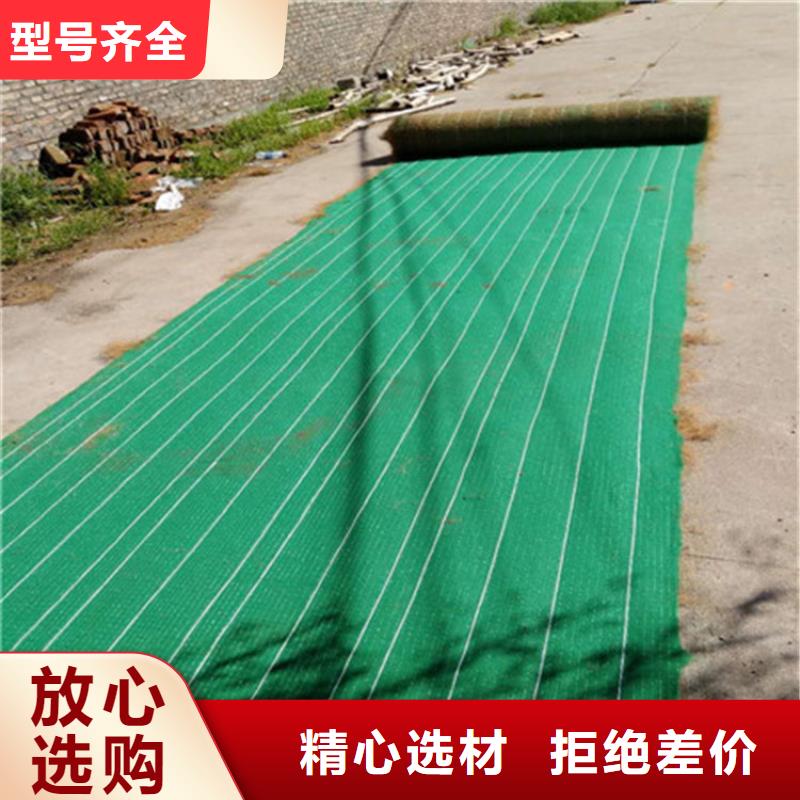 荒山綠化椰絲毯厚度