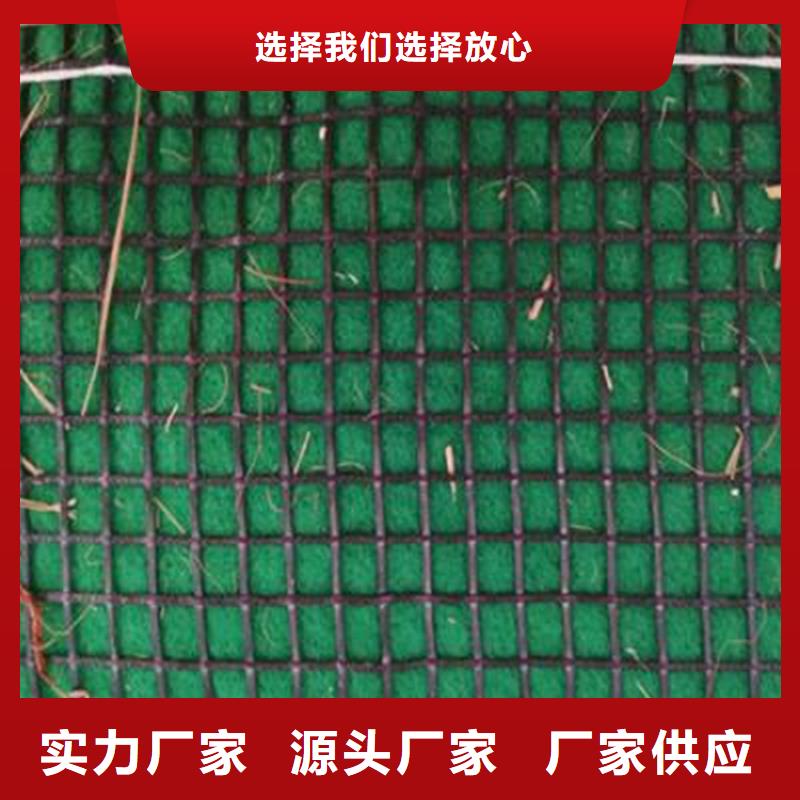 加筋抗沖生態毯市場經銷
