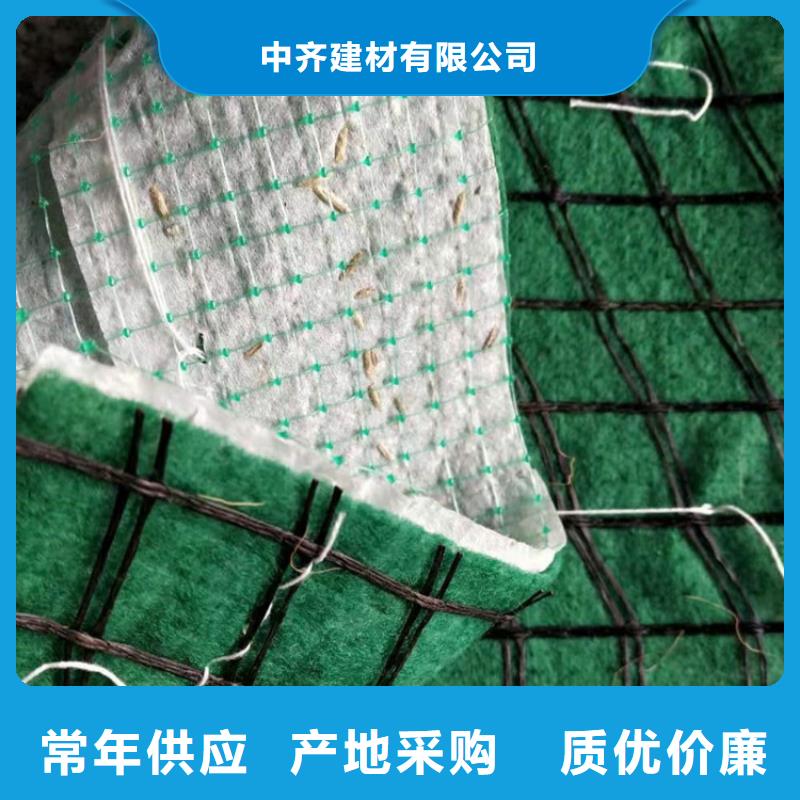 土工格栅视频-土工格栅_山东省德州市市场覆盖禹城|庆云|泰安|济南|滨州|聊城|潍坊等