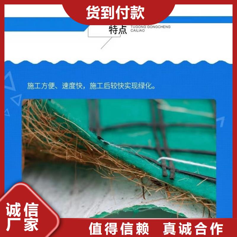 土工格栅视频-土工格栅_山东省德州市市场覆盖禹城|庆云|泰安|济南|滨州|聊城|潍坊等