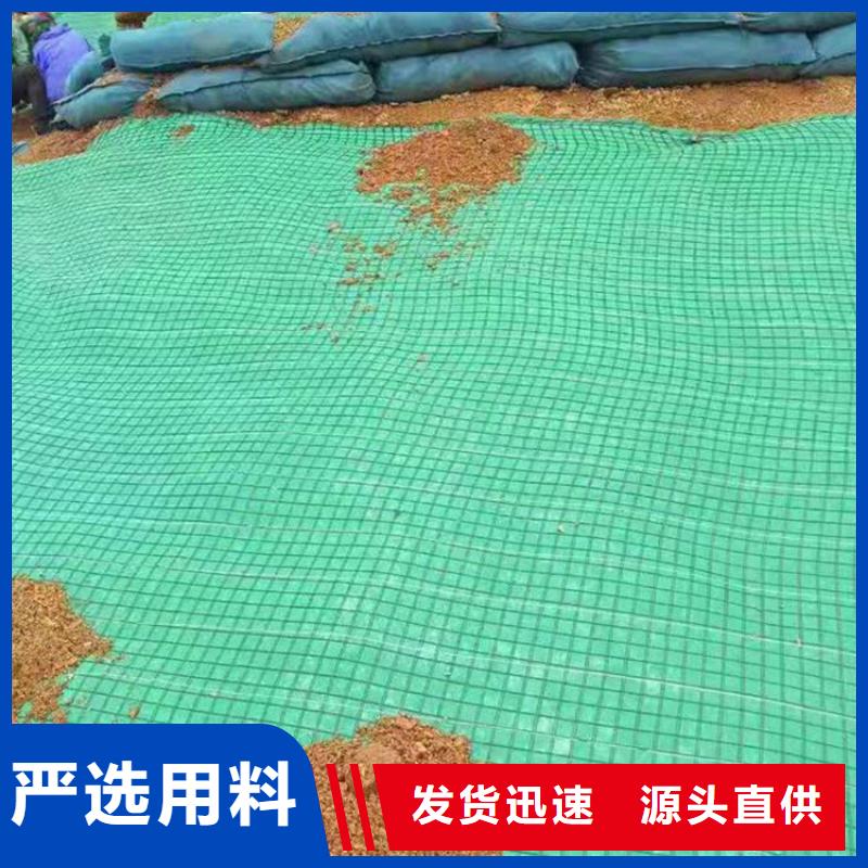 土工格栅视频-土工格栅|德州市|武城|齐河|枣庄|聊城|菏泽|济宁|潍坊|济南