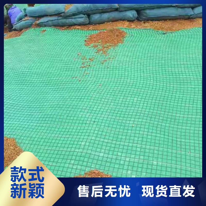 土工格栅视频-四川省自贡市中齐土工格栅可服务区域贡井|荣县|甘孜|阿坝|乐山|攀枝花|成都等