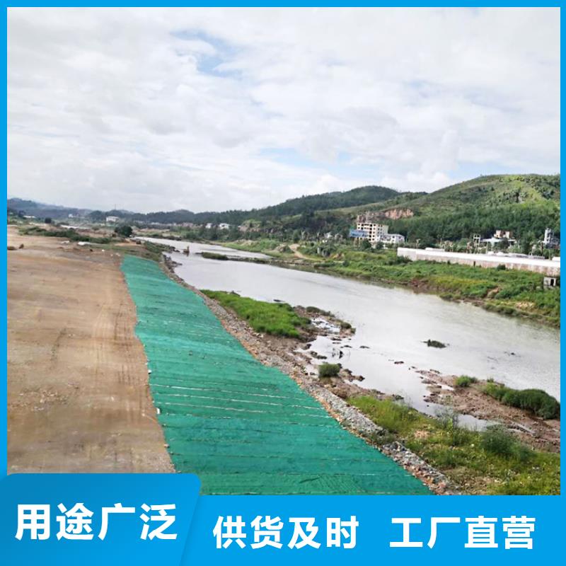 水保加筋植生毯