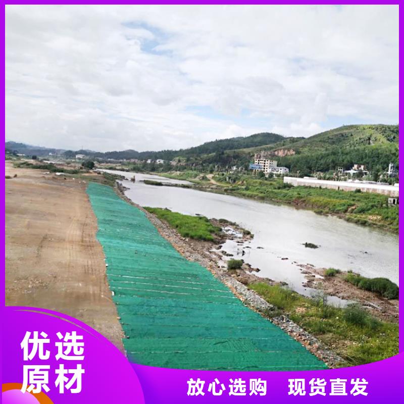 江城|阳春|河源|惠州|湛江|肇庆|韶关中齐【椰丝毯】 土工布精挑细选好货