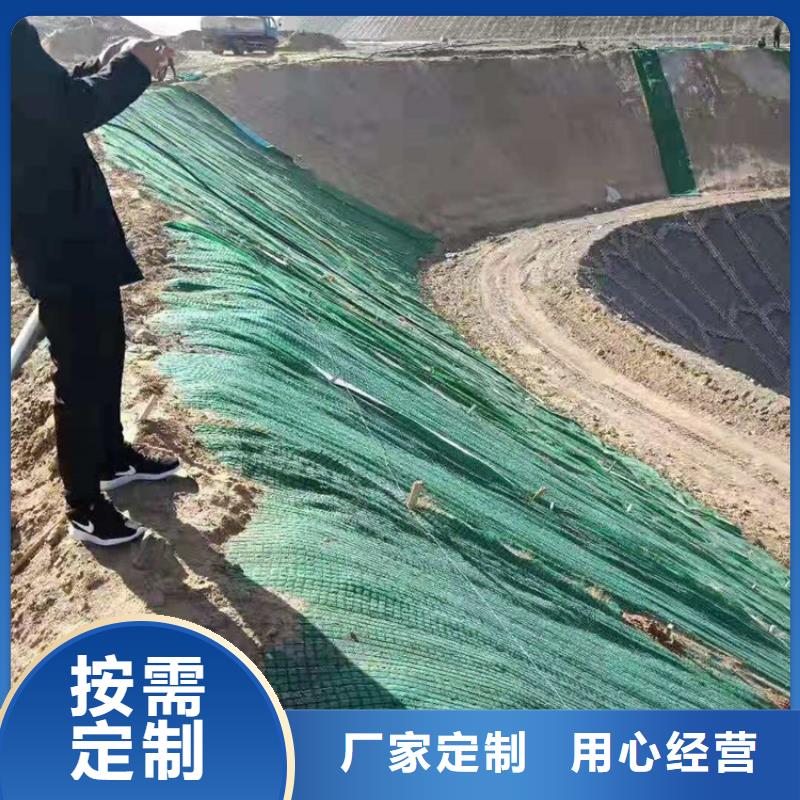 加筋抗沖生態毯礦山修復植生毯