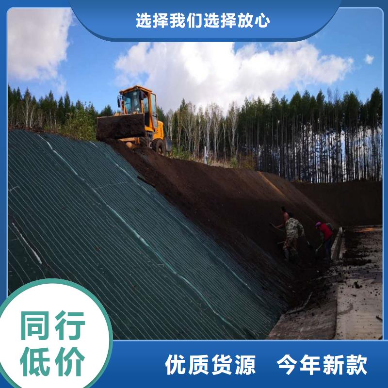 土工格栅视频-土工格栅-广东省阳江市该地生产商-阳东|江城|云浮|中山|佛山|广州