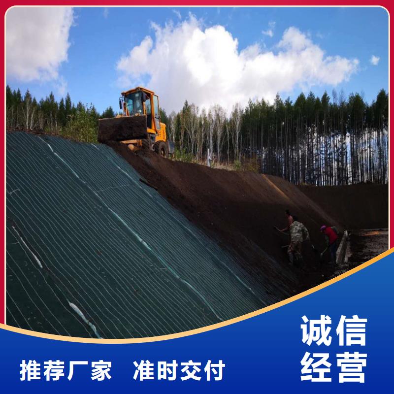 土工格栅视频-土工格栅_山东省德州市市场覆盖禹城|庆云|泰安|济南|滨州|聊城|潍坊等