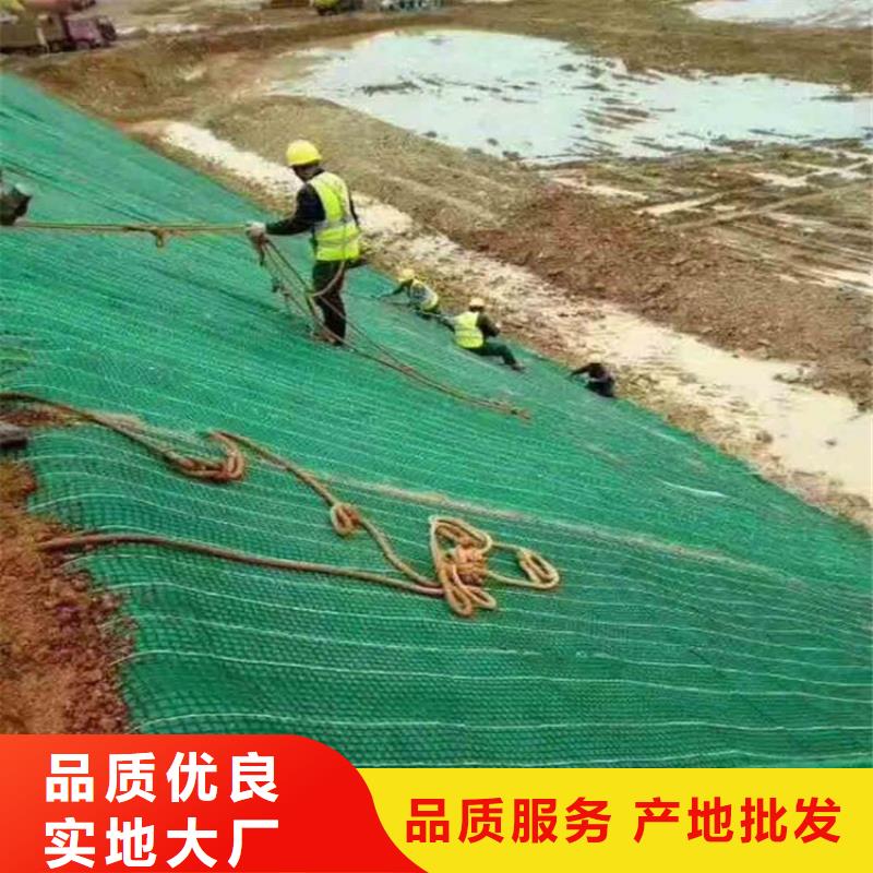 椰絲毯土工膜專注細節專注品質
