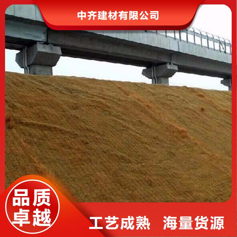 萬寧市椰絲纖維毯水保抗沖生物毯
