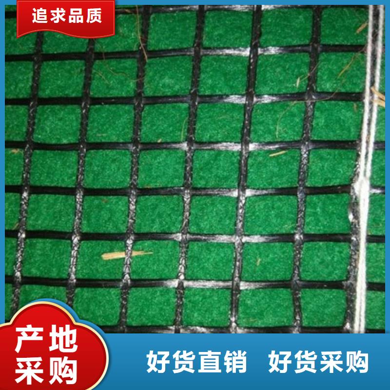 加筋抗沖生態毯水保加筋植生毯