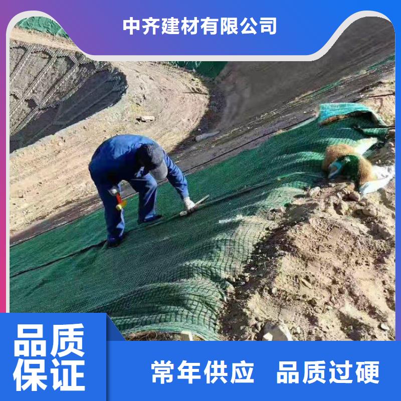 護坡生態(tài)草毯加筋抗沖生態(tài)毯